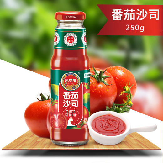 凤球唛番茄沙司250克 商品图2