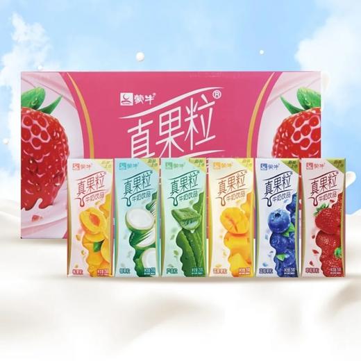 蒙牛真果粒(椰果粒)250ml 商品图0