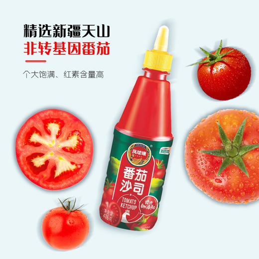 凤球唛番茄沙司476g 商品图1