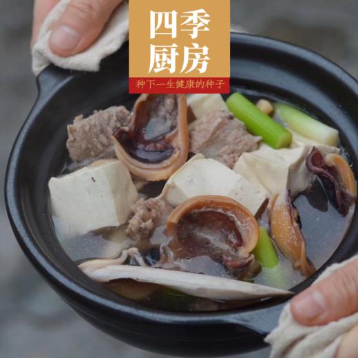 东海 野生滋补墨鱼 商品图3