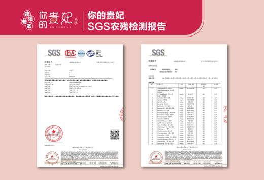 吃海芒芒 海南三亚   树上熟 贵妃芒 商品图6