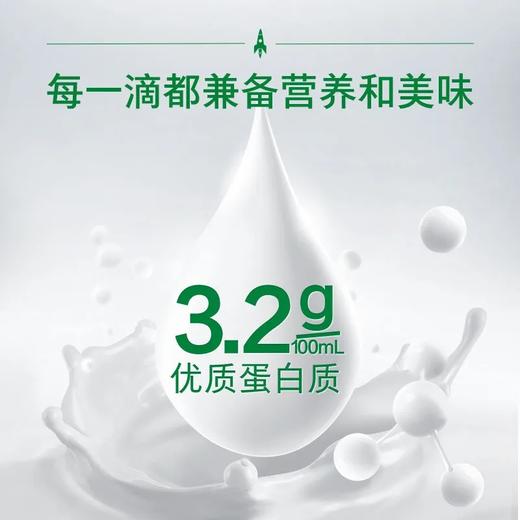 蒙牛纯牛奶250ml 商品图2