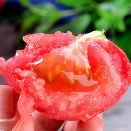 农家种植自然熟普罗旺斯西红柿，沙瓤多汁，甜润可口，小时候的味道！