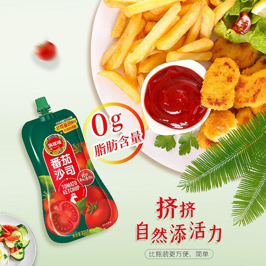 凤球唛番茄沙司300g 商品图1