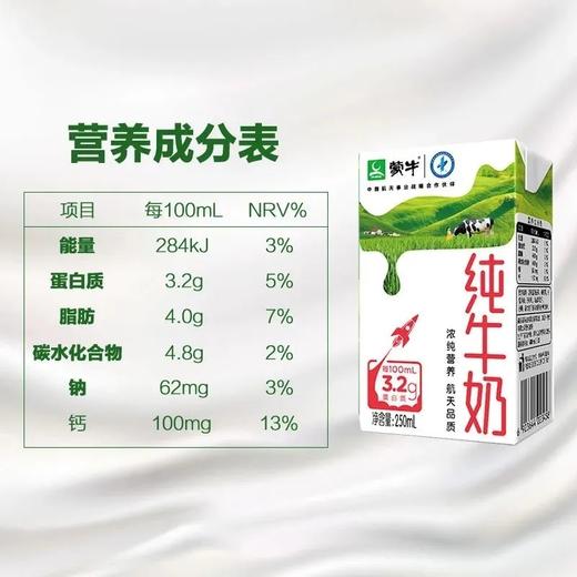 蒙牛纯牛奶250ml*16 商品图0