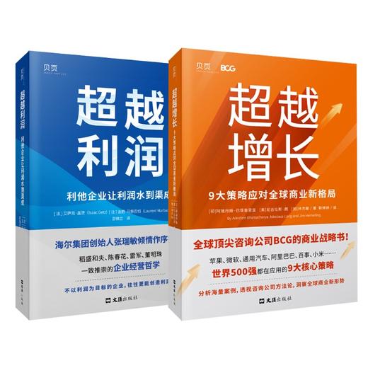 超越增长+超越利润 企业经营新哲学 商品图0