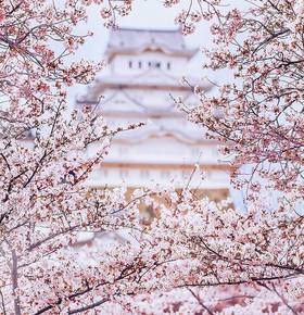 春是四季中的最美，你是人海中的唯一