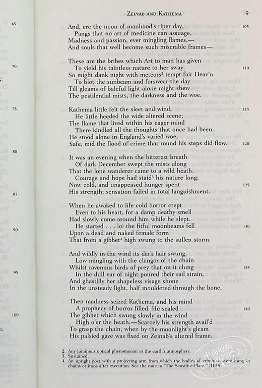 【中商原版】Norton Critical Editions Shelley’s Poetry and Prose 英文原版 雪萊的诗歌 戏剧和散文 诺顿文学解读系列 Percy Bysshe 商品图6