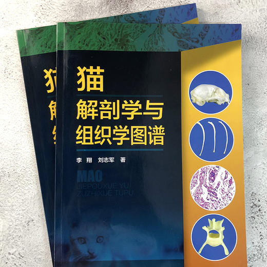 猫解剖学与组织学图谱 商品图1