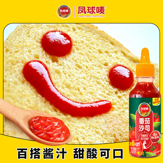 凤球唛番茄沙司250克 商品图5