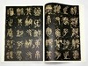 《篆隶拓本精粹》，彩色放大本，8开，函套装，全6册，孙宝文编，上海辞书2016年版，定价259，售价129元。函套或有损，书册完好，品相9 商品缩略图12