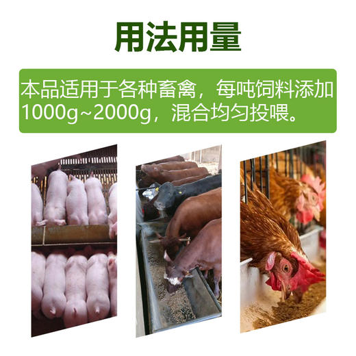 【核生元】和仕康核生元 调理肠道 除氨气 益生菌1kg 商品图5