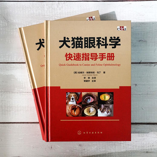 犬猫眼科学快速指导手册 商品图1