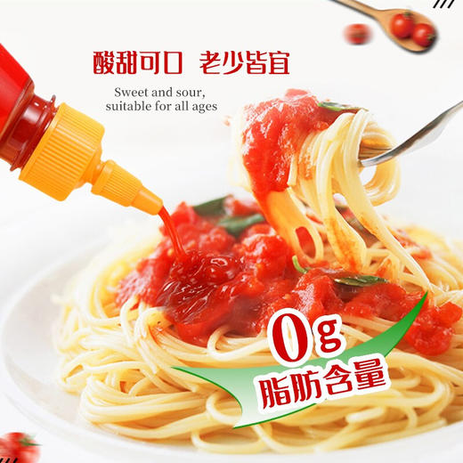 凤球唛番茄沙司476g 商品图4