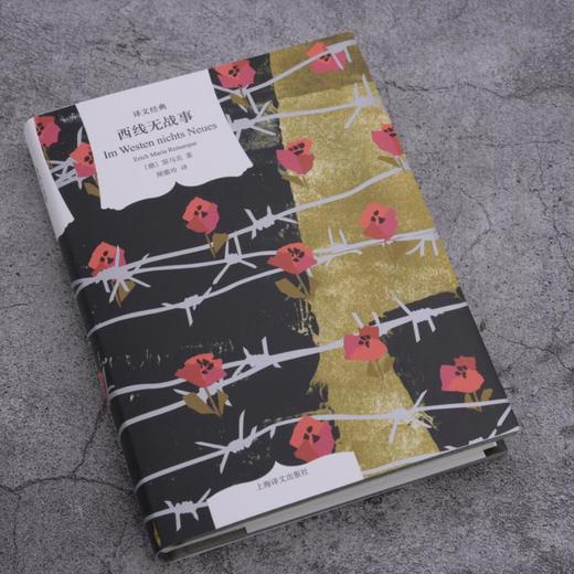 西线无战事(精)/译文经典 商品图4