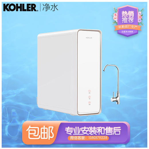 科勒（KOHLER）滢澈KP040净水器原装 全套两只滤芯滤芯高端款 商品图2