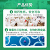 【巨龙呼畅】禽用10%延胡索酸泰妙菌素可溶性粉100g 商品缩略图2
