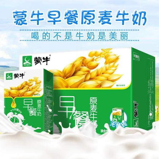 蒙牛特价早餐，纯奶 商品图0