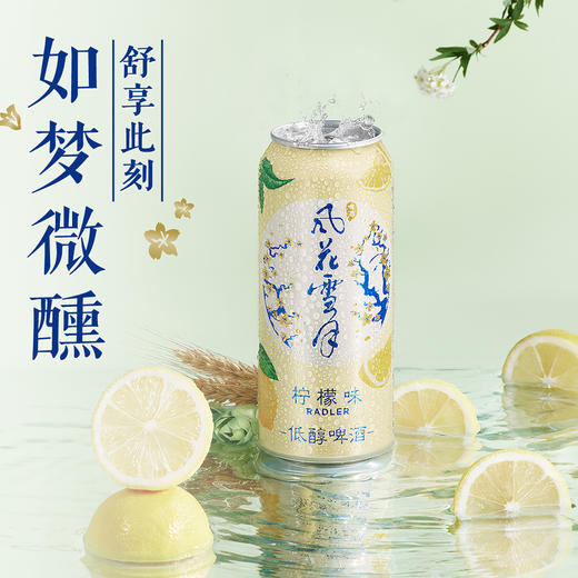 风花雪月柠檬味低醇啤酒500ml*12罐 云南微醺啤酒 商品图3