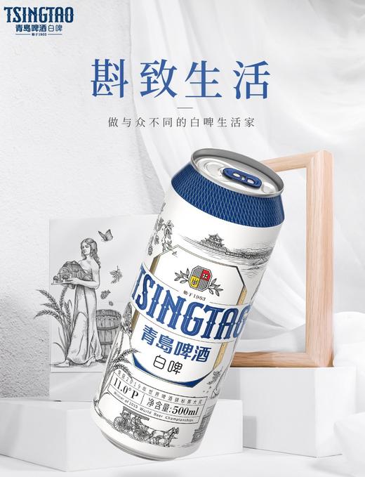 青岛啤酒白啤11度500*12罐啤（20版） 商品图5
