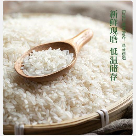 （乡村振兴商品）粮田拾趣生态大米 5kg 商品图2