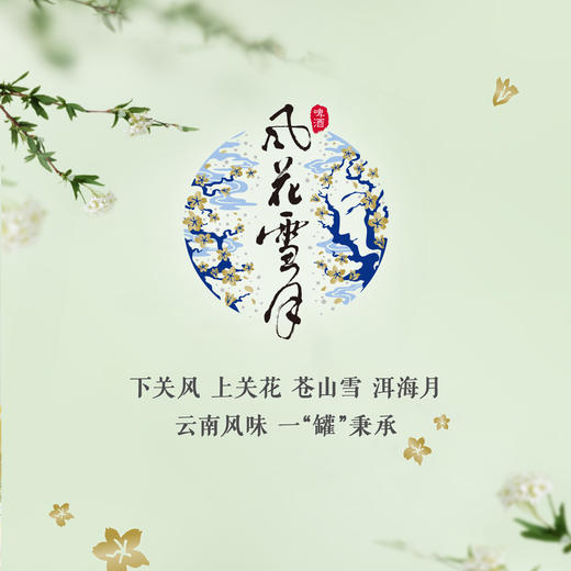 风花雪月柠檬味低醇啤酒500ml*12罐 云南微醺啤酒 商品图6