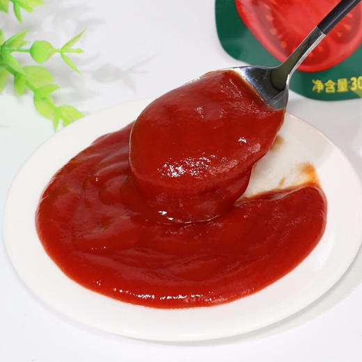 凤球唛番茄沙司300g 商品图4