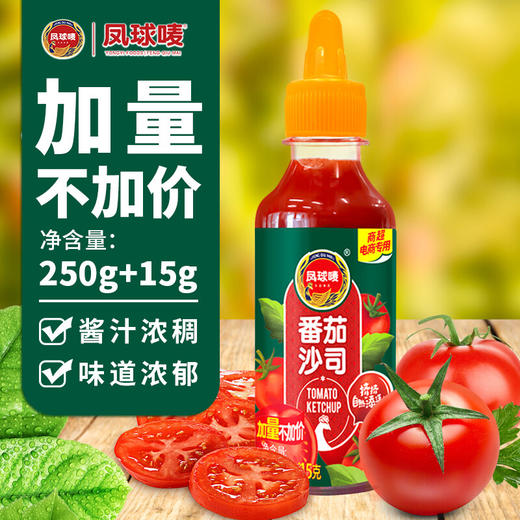 凤球唛番茄沙司250克 商品图4