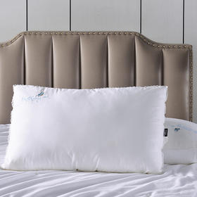 多喜爱 第二代颜悦蚕丝蛋白美眠枕cs