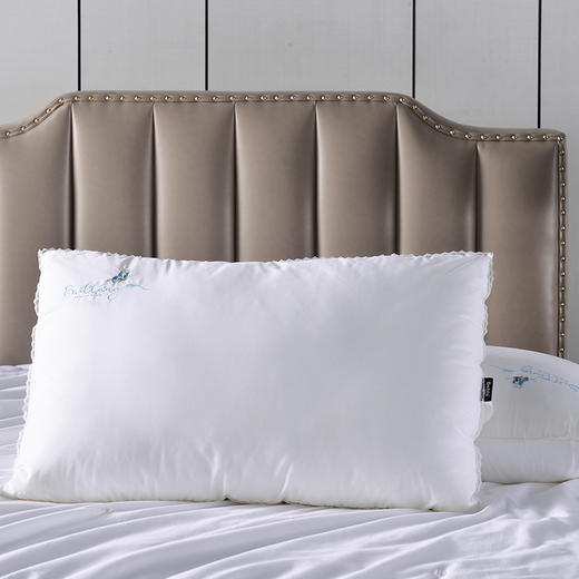 多喜爱 第二代颜悦蚕丝蛋白美眠枕cs 商品图0