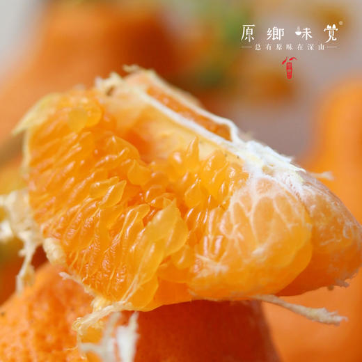 眉山生态耙耙柑（基地直发-京东包邮）｜5斤/箱，8斤/箱，来自四川眉山，生产者：黄琼【合作生产，公平贸易】 商品图11