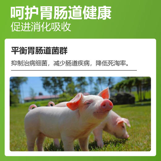 【核生元】和仕康核生元 调理肠道 除氨气 益生菌1kg 商品图3