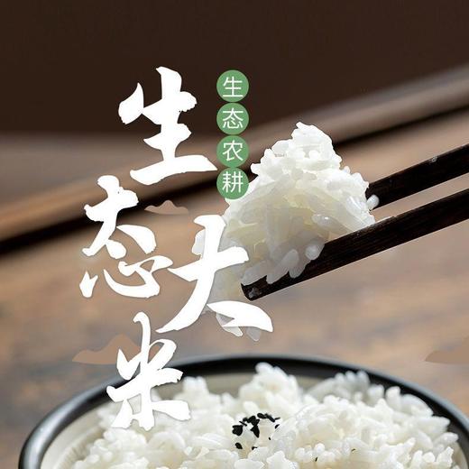 （乡村振兴商品）粮田拾趣生态大米 5kg 商品图3
