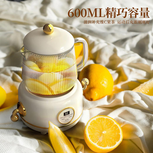 GYDQ-YSB-02新款多功能宿舍家用办公用小型迷你养生壶 商品图3