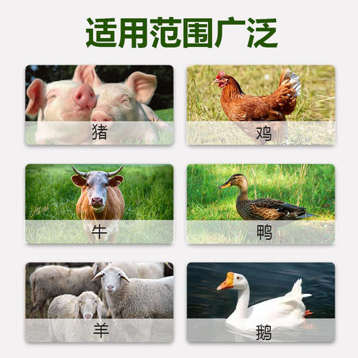 【核生元】和仕康核生元 调理肠道 除氨气 益生菌1kg 商品图4