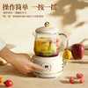 GYDQ-YSB-02新款多功能宿舍家用办公用小型迷你养生壶 商品缩略图6