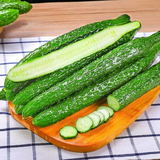 黄瓜 约500g【BC】【WNX】 商品图0