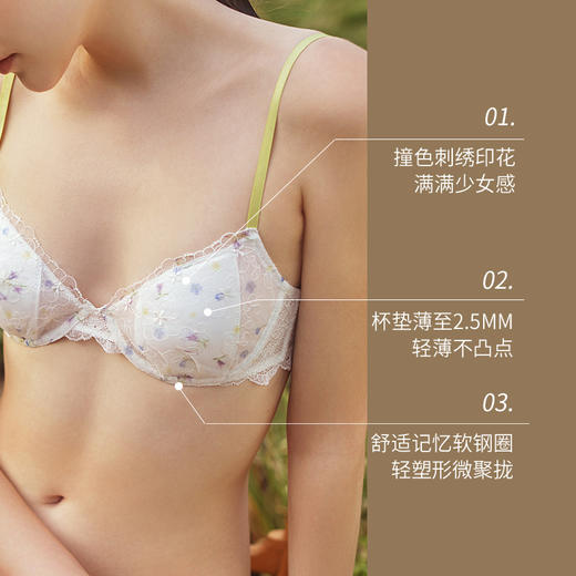 金三塔花园漫游系列法式内衣女聚拢小胸撞色蕾丝真丝薄文胸套装 NZFCB397 商品图2