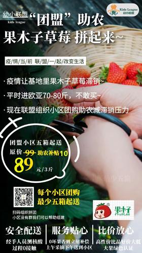 八期“团盟”助农，【团盟专属 】果木子草莓  动起来~~