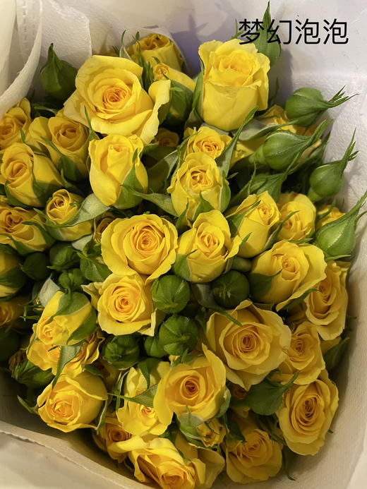 昆明玫瑰梦幻芭比黄多头10支扎cd级