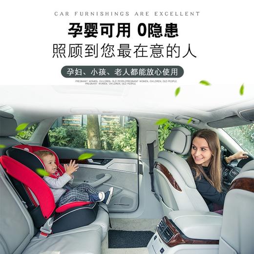 1月13日起快递停发  车居两用 汽车除臭喷雾剂 室内杀菌除味剂 北高峰【汽车服务月】 商品图3