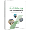电力设备带电检测作业指导及典型案例 商品缩略图1