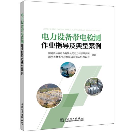 电力设备带电检测作业指导及典型案例 商品图1