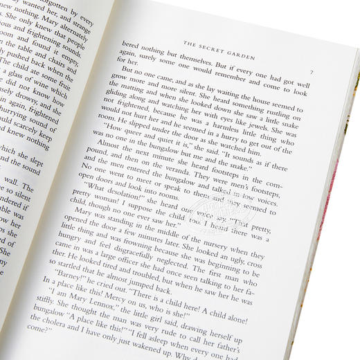 【中商原版】企鹅手绣经典系列：秘密花园 英文原版 英文版 Penguin Threads：The Secret Garden 英文文学 商品图3