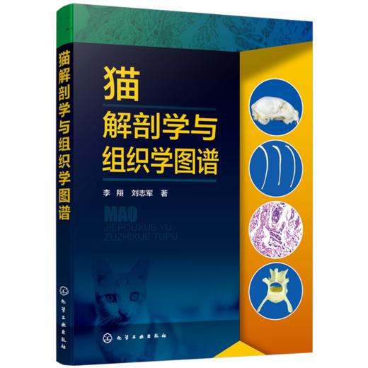 猫解剖学与组织学图谱 商品图0