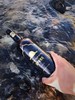 吉尼斯纪录创造者！世界ZUI高海拔葡萄园！纯净稀有！——西藏拉萨葡萄酒 商品缩略图6