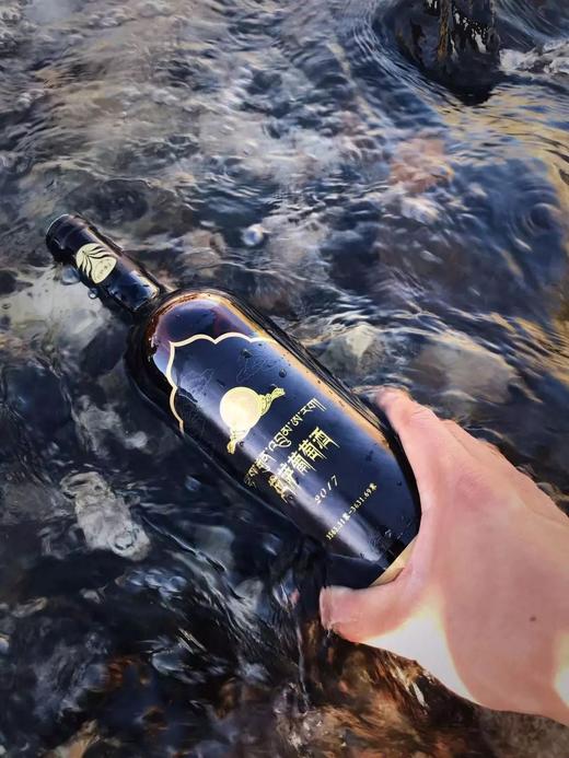 吉尼斯纪录创造者！世界ZUI高海拔葡萄园！纯净稀有！——西藏拉萨葡萄酒 商品图6