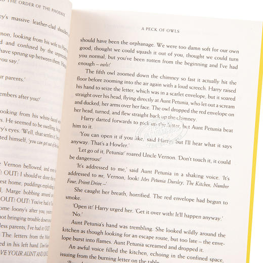 【中商原版】哈利波特5 哈利波特与凤凰社 赫奇帕奇学院版平装 英文原版 Harry Potter and the Order of the Phoenix Hufflepuff Edition 商品图3