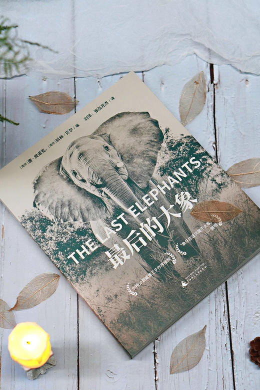 【423读书日活动专区】最后的大象 [南非]唐·皮诺克 [南非]科林·贝尔/编 刘洋 张弘兆杰 /译 商品图3