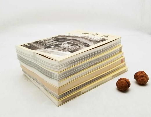 “西洋镜”6册：《西洋镜第4辑：一个德国建筑师眼中的中国1906-1909》《西洋镜第5辑：一个德国飞行员镜头下的中国1933-1936》《西洋镜第6辑：一个美国女记者眼中的民国名流》 商品图3